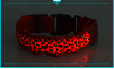 Dogstory Adjustable New Style Leopard Glow Cat Dog Collar Nylon