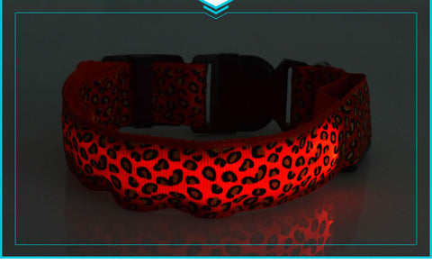 Dogstory Adjustable New Style Leopard Glow Cat Dog Collar Nylon