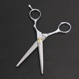 2pcs Professional Barber Hair Scissors 5.5/6.0 inch Cutting Thinning Scissors Shears Hairdressing Stainless steel