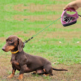 10ft Retractable Dog Leash Pet Dog Puppy Walking Leashes Multifunctional