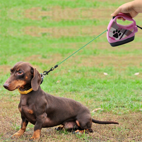 10ft Retractable Dog Leash Pet Dog Puppy Walking Leashes Multifunctional