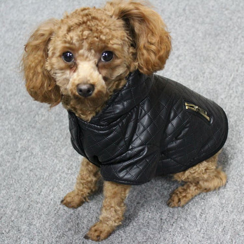 black PU jumpsuits removable doggy jacket