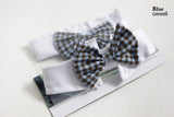 Dog Tie Wedding Accessories