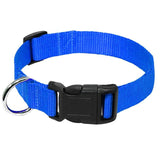 Nylon Webbing Dog Collar Heavy Duty Clip Buckle Pet Collar for Small Medium Large Dogs