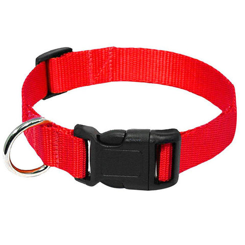 Nylon Webbing Dog Collar Heavy Duty Clip Buckle Pet Collar for Small Medium Large Dogs