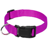 Nylon Webbing Dog Collar Heavy Duty Clip Buckle Pet Collar for Small Medium Large Dogs