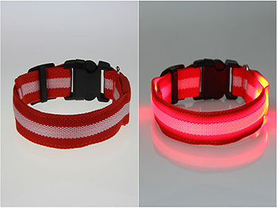 8 Color S M L Size Glow LED Dog Pet Cat Flashing Light Up Nylon Collar