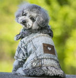 Denim Dog Clothes Winter Fur Collar Dog Coat Thick Warm Pet Clothes Jeans