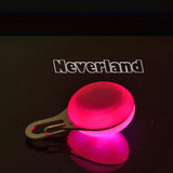 Dog LED Night Safety Flash Light Pet Clip