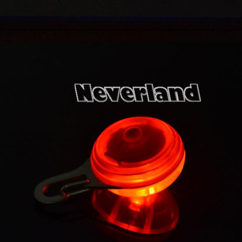 Dog LED Night Safety Flash Light Pet Clip