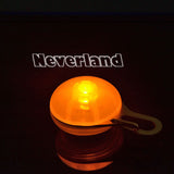 Dog LED Night Safety Flash Light Pet Clip