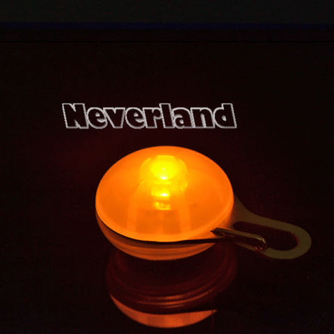 Dog LED Night Safety Flash Light Pet Clip