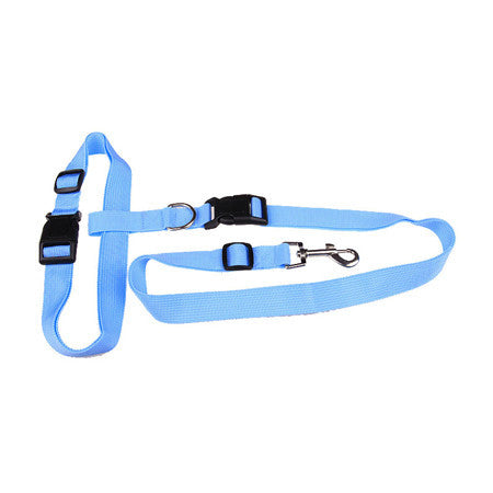 New waist pet dog leash running jogging puppy dog lead collar sport adjustable