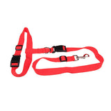 New waist pet dog leash running jogging puppy dog lead collar sport adjustable