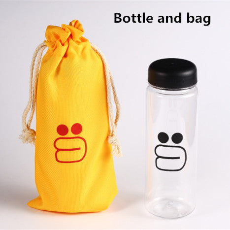 water bottle infuser 500ml