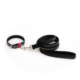 Dog Collar Lead Black Brown Pet Dog Set