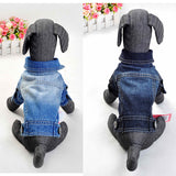 Dog Clothes Denim jacket