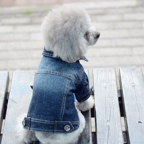 Dog Clothes Denim jacket