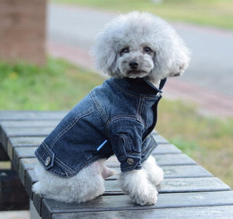 Dog Clothes Denim jacket