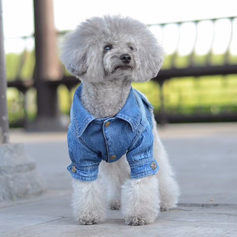 Dog Clothes Denim jacket