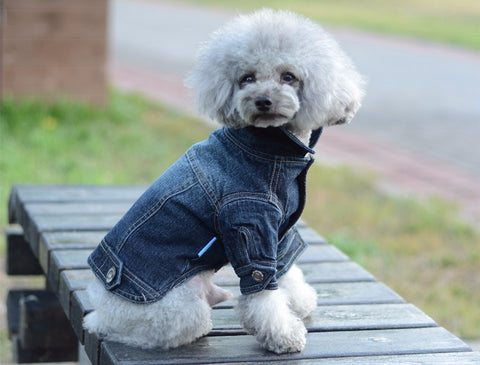 Dog Clothes Denim jacket