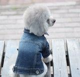 Dog Clothes Denim jacket