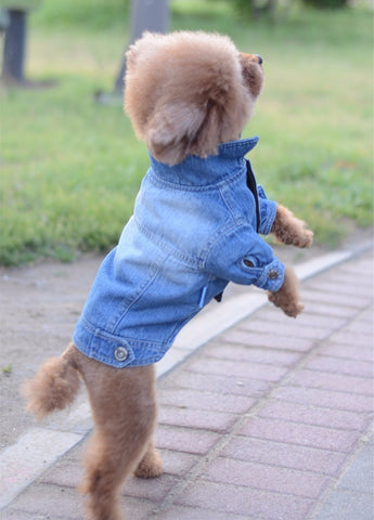 Dog Clothes Denim jacket