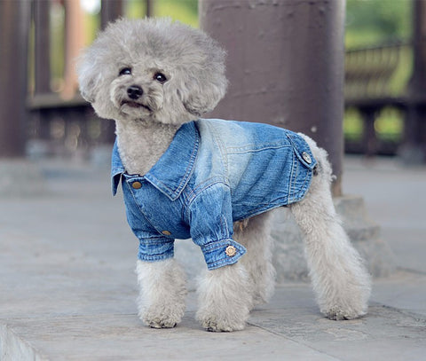 Dog Clothes Denim jacket