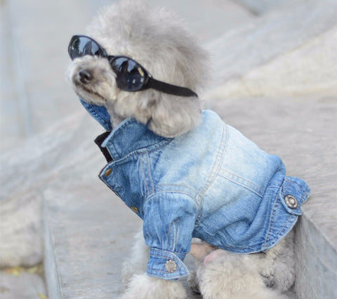 Dog Clothes Denim jacket