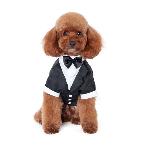 Black Bow Tie Pet Dogs Costume Gentleman Suit  5 Size S/M/LXL/2XL