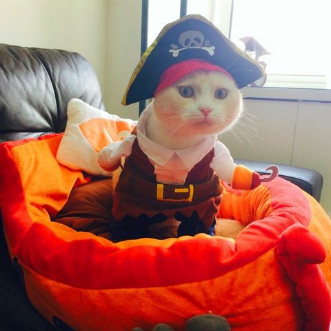 Funny Clothes For Pet Dog Costume Caribbean Pirate Suit