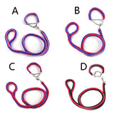 Big Pet Dedicated Dog Leash And Collar Strands Plaited Rope