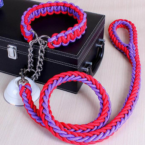 Big Pet Dedicated Dog Leash And Collar Strands Plaited Rope