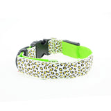 Dogstory Adjustable New Style Leopard Glow Cat Dog Collar Nylon