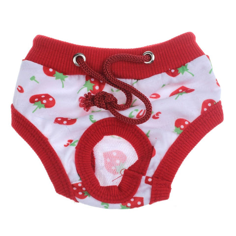 Hot Product Female Physiological Menstrual Hygiene Pants Estrus Underwear