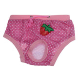 Hot Product Female Physiological Menstrual Hygiene Pants Estrus Underwear