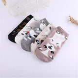 Animal Dogs Footprints Striped Cartoon Socks