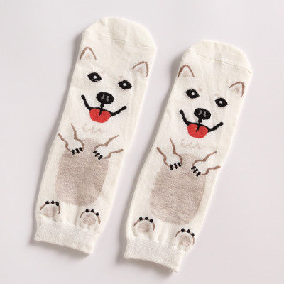 Animal Dogs Footprints Striped Cartoon Socks