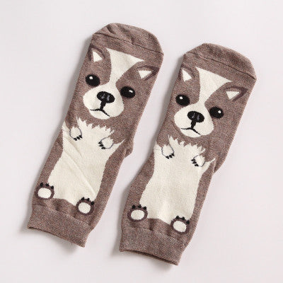 Animal Dogs Footprints Striped Cartoon Socks