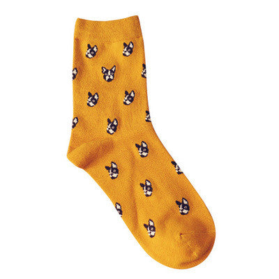 Lovely Daily Animal Weel Socks Watermelon Dachshund Beagle Lion Farm Bull Terrier Elephant Fox Pill Fruit Dog Combo