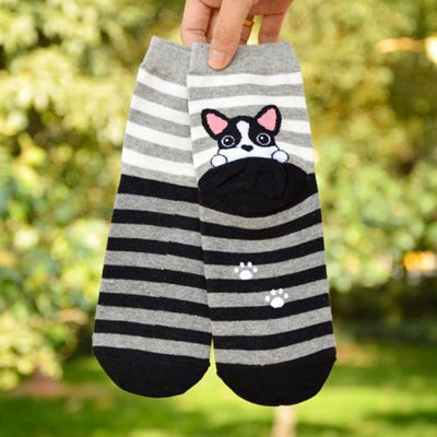 D Animal Dogs Footprints Striped Cartoon Socks