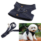 Dark denim harness