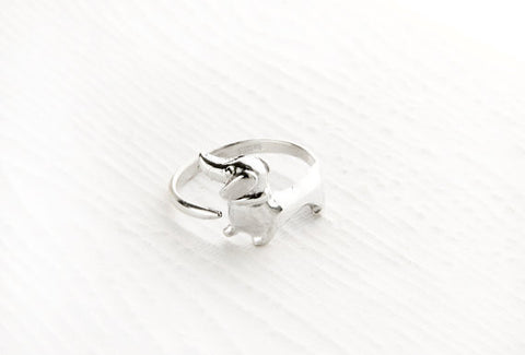 Dachshund Ring