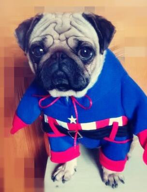 Funny Pet Costume Suit Dog Clothes Puppy Uniform Outfit Cat Clothing Nurse Doctor Policeman Pirate Cowboy Halloween Apparel 24