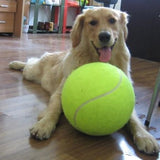 1PC 24CM Big Inflatable Tennis Ball Giant Pet Toy