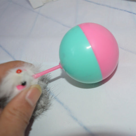 Durable Pet Cat Toys Mimi Favorite fur Mouse Tumbler Plastic Toys Balls for Cats dogs play 5.5cm