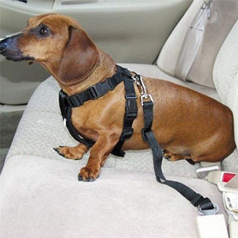 5Color Dog Pet Car Safety Seat Belt Harness