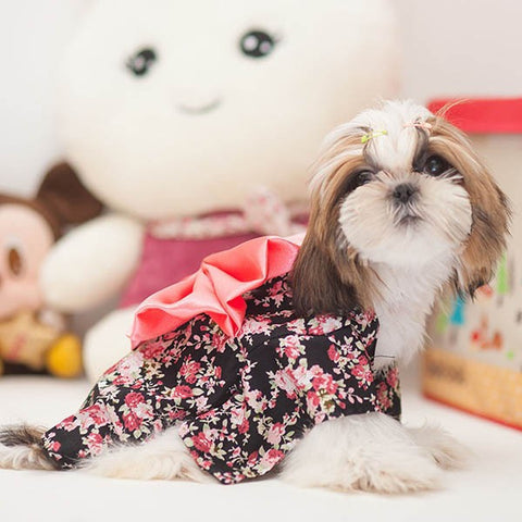 Clothing Dog Dress Clothes Floral Japanese Kimono Bow Tie