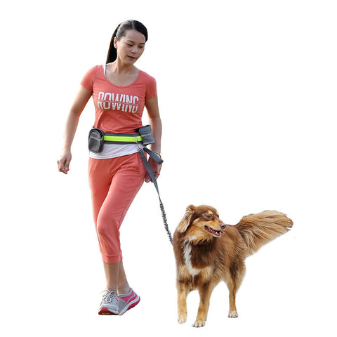 Elastic belt Running dog leash lead sports jogging walking pet collar rope hand free waist