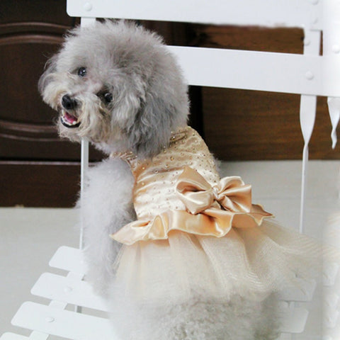 Dog Lace Skirt Clothes Wedding Party Pet Cat Bowknot Tutu Dress Princess Costume